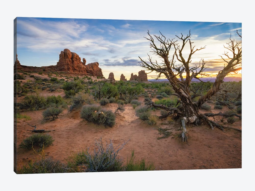 Sunset And Sand At Arches National Park by Jonathan Ross Photography 1-piece Canvas Art Print