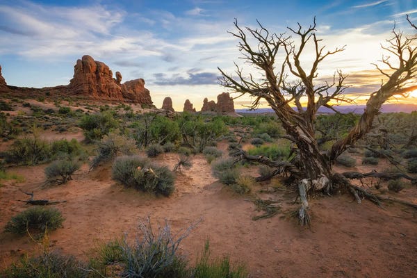 Sunset And Sand At Arches National Park