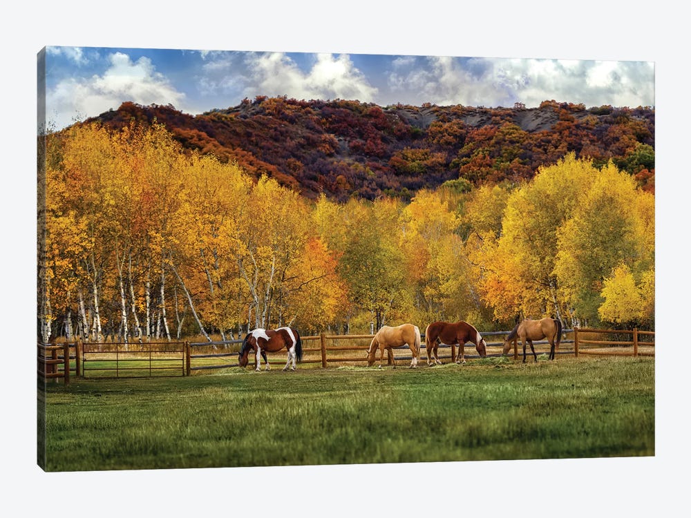 Grazing In The Aspens by Jonathan Ross Photography 1-piece Canvas Artwork