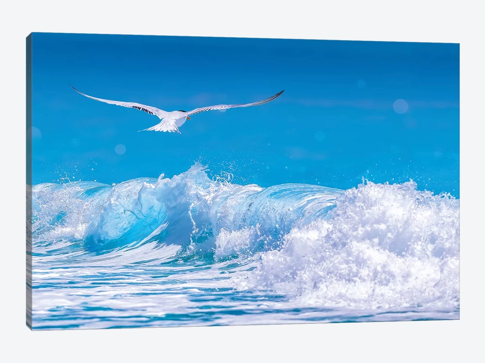 Gull In The Waves 1-piece Canvas Art Print