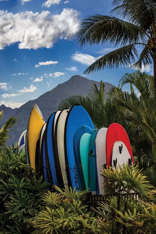 Hang Ten by Jonathan Ross Photography wall art