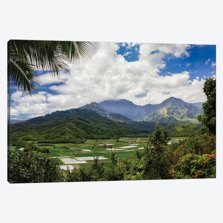 Hawaiian Overlook Canvas Print #JRP37} by Jonathan Ross Photography Canvas Wall Art