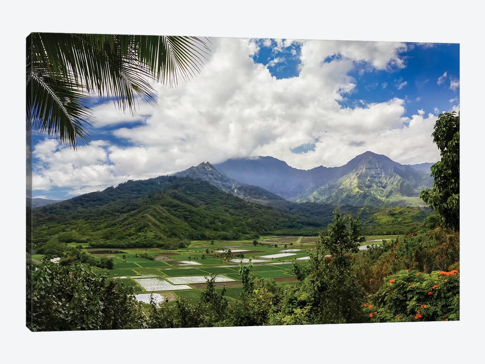 Hawaiian Overlook by Jonathan Ross Photography 1-piece Canvas Wall Art