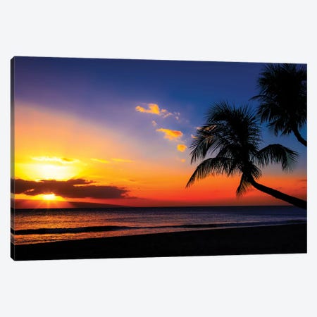Leaning Into Sunset Canvas Print #JRP40} by Jonathan Ross Photography Canvas Artwork