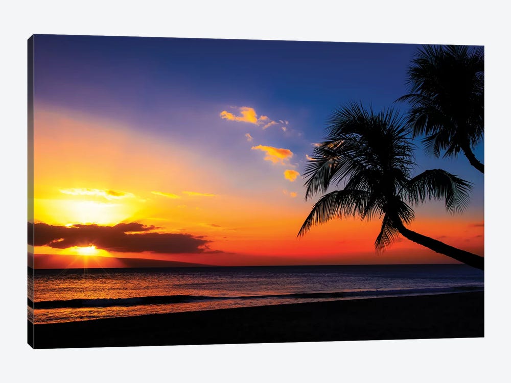 Leaning Into Sunset by Jonathan Ross Photography 1-piece Canvas Artwork