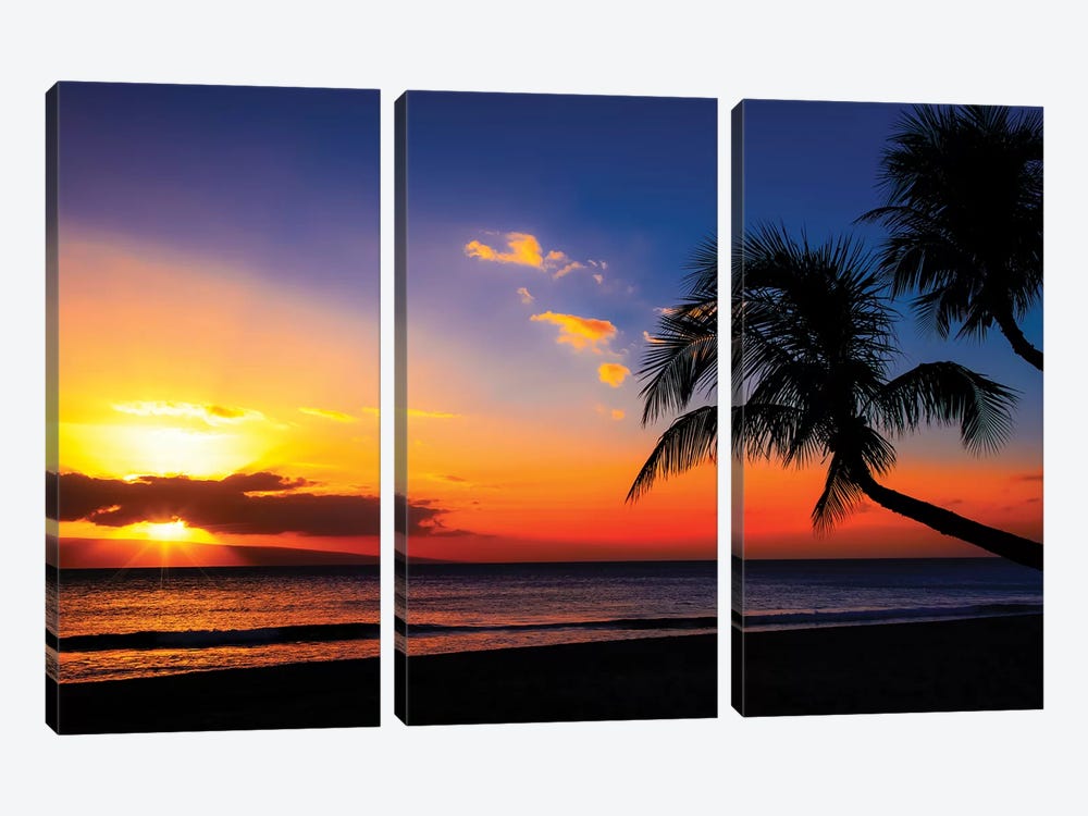 Leaning Into Sunset by Jonathan Ross Photography 3-piece Canvas Art