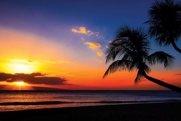Hawaii: Leaning Into Sunset by Jonathan Ross Photography