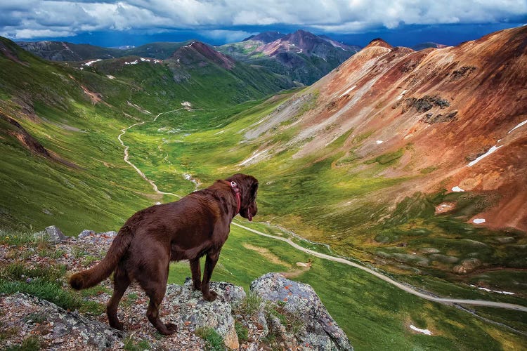 Looking Over The Edge by Jonathan Ross Photography wall art