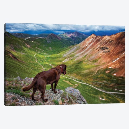 Looking Over The Edge Canvas Print #JRP45} by Jonathan Ross Photography Canvas Print