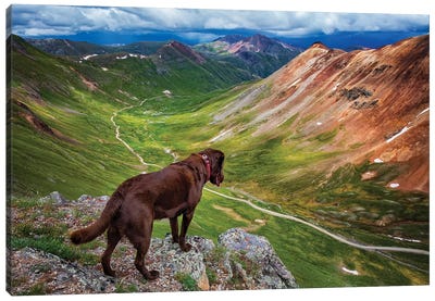 Looking Over The Edge Canvas Art Print - Jonathan Ross Photography
