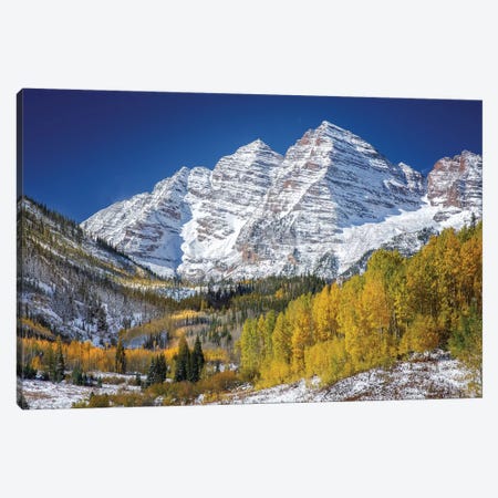 Aspen Peaks In Forest Canvas Print #JRP4} by Jonathan Ross Photography Canvas Art Print