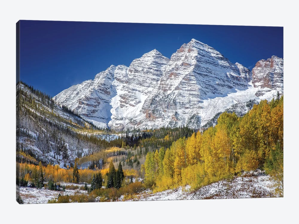Aspen Peaks In Forest by Jonathan Ross Photography 1-piece Canvas Artwork