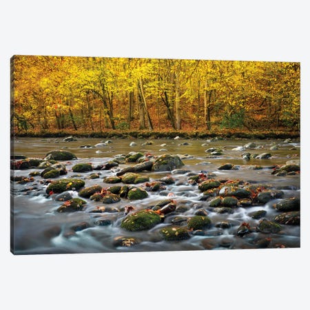 Mountain Stream In Autumn Canvas Print #JRP57} by Jonathan Ross Photography Canvas Artwork