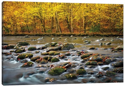 Mountain Stream In Autumn Canvas Art Print - Jonathan Ross Photography