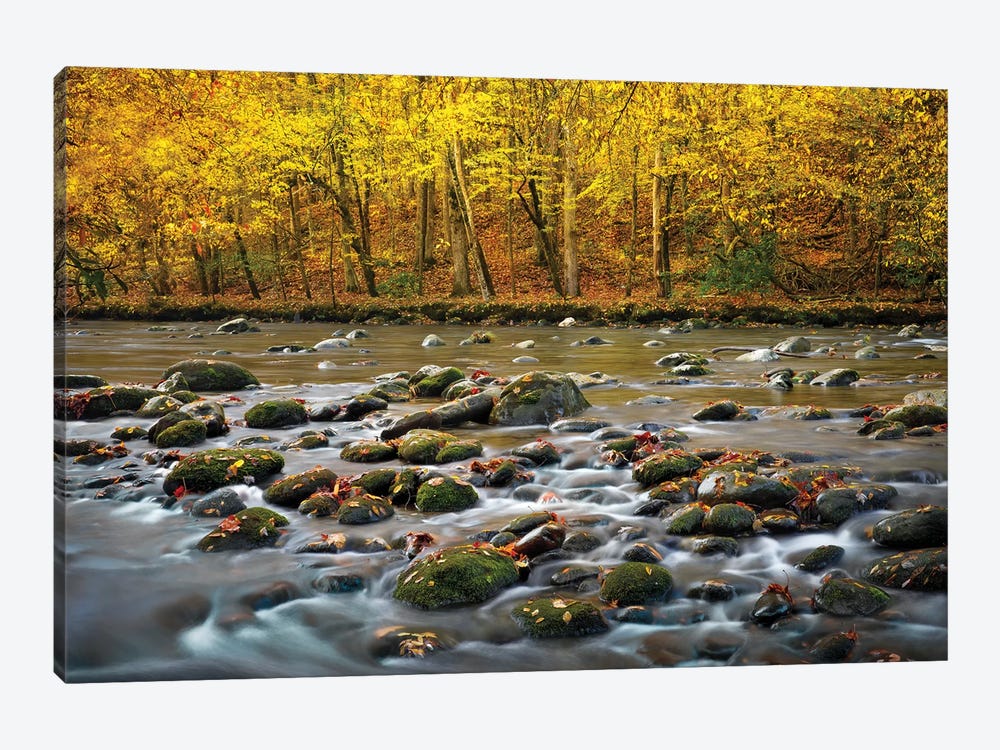 Mountain Stream In Autumn by Jonathan Ross Photography 1-piece Canvas Artwork