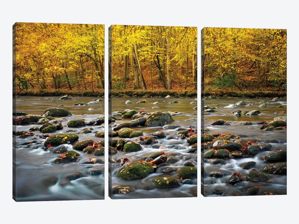 Mountain Stream In Autumn by Jonathan Ross Photography 3-piece Canvas Wall Art
