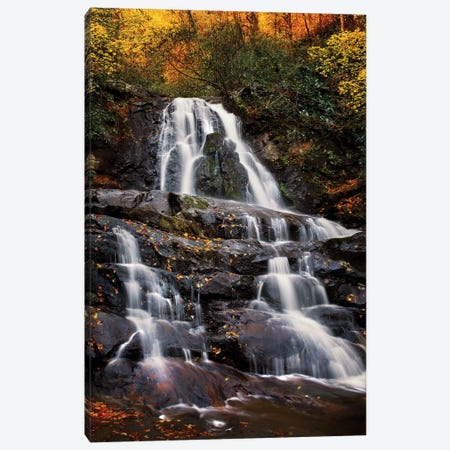 Autumn Falls Canvas Print #JRP5} by Jonathan Ross Photography Art Print