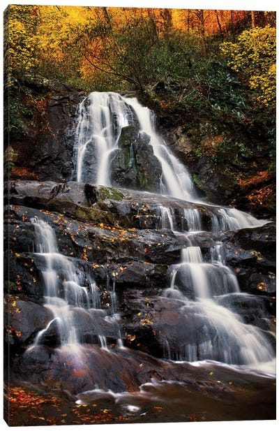 Autumn Falls Canvas Art Print - Waterfall Art