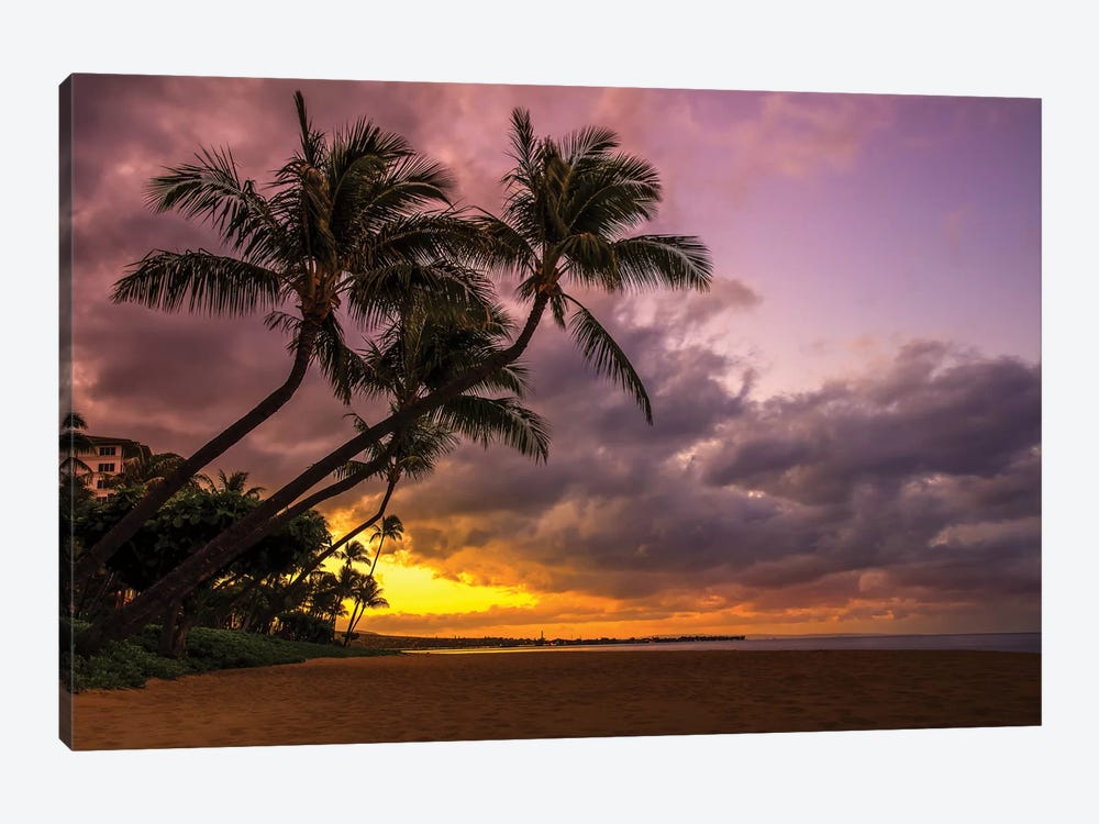 Palms At Sunset by Jonathan Ross Photography 1-piece Canvas Wall Art