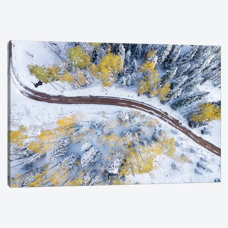 Roadway Through The Snowy Aspens Canvas Print #JRP73} by Jonathan Ross Photography Canvas Art Print