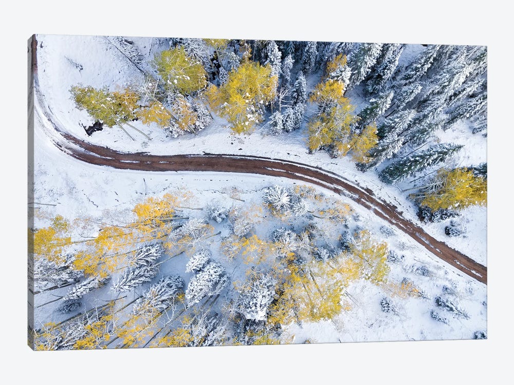 Roadway Through The Snowy Aspens by Jonathan Ross Photography 1-piece Canvas Art
