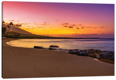 Rocky Beach Sunset Canvas Art Print - Jonathan Ross Photography