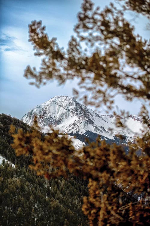 Rocky Mountain Glimpse