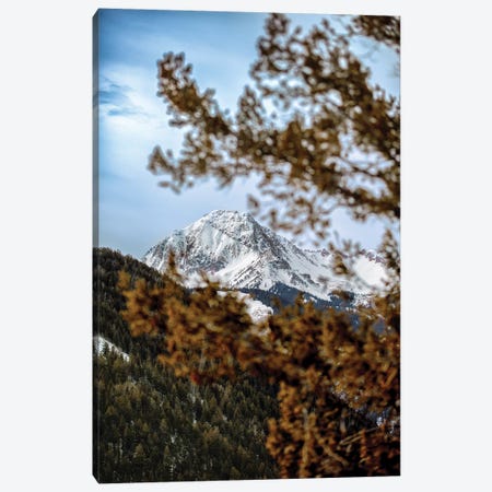 Rocky Mountain Glimpse Canvas Print #JRP76} by Jonathan Ross Photography Canvas Wall Art