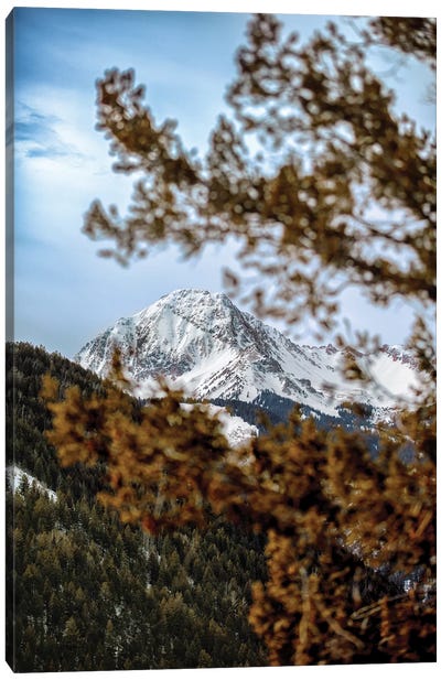 Rocky Mountain Glimpse Canvas Art Print - Jonathan Ross Photography