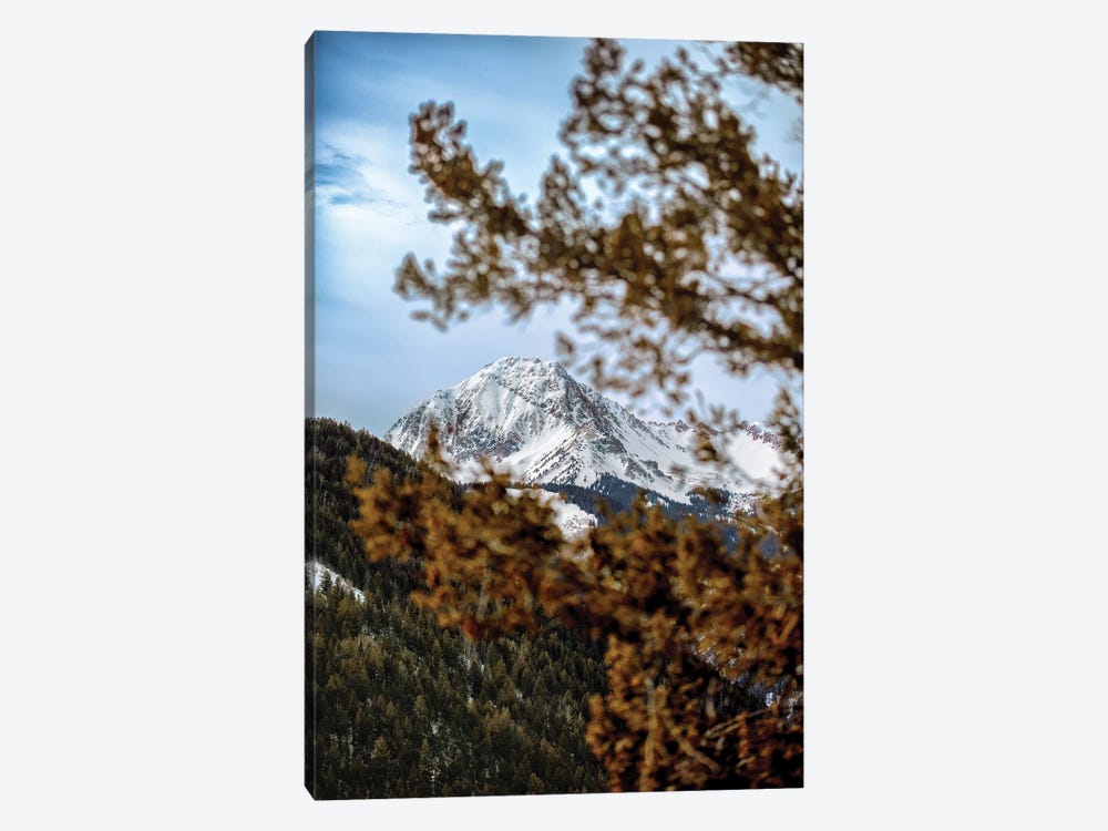 Rocky Mountain Glimpse by Jonathan Ross Photography 1-piece Canvas Art Print