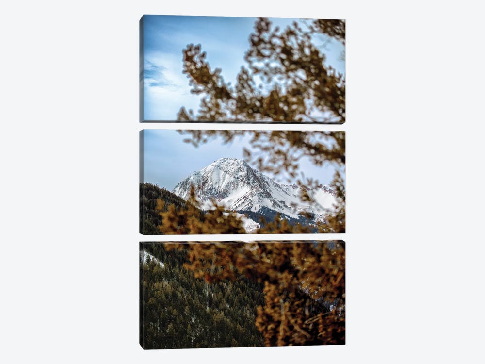 Rocky Mountain Glimpse by Jonathan Ross Photography 3-piece Canvas Art Print