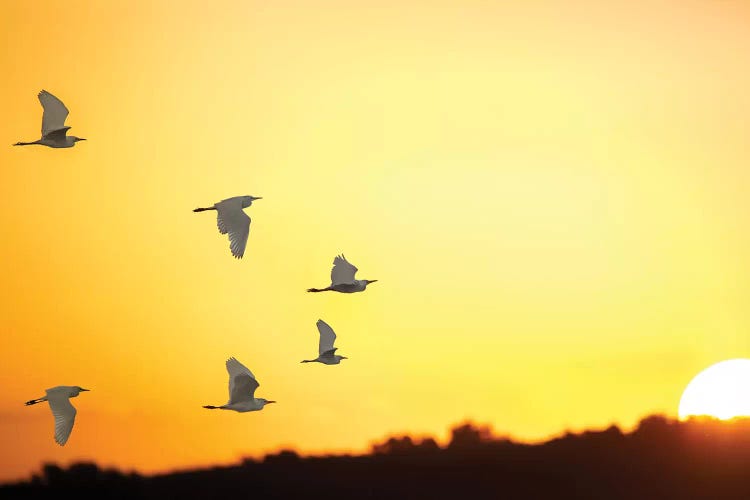 Sunset Formation by Jonathan Ross Photography wall art