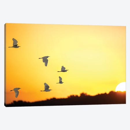 Sunset Formation Canvas Print #JRP96} by Jonathan Ross Photography Canvas Art