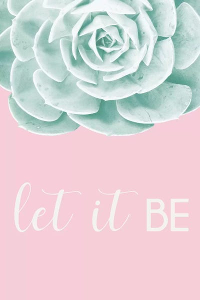 Zen Bedroom: Inspirational Echeveria by Jairo Rodriguez