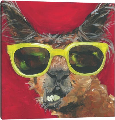 Dapper Animal IV Canvas Art Print