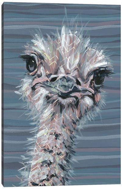 Animal Patterns V Canvas Art Print - Ostrich Art