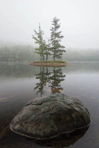 James Rodewald: Duo Trees by James Rodewald