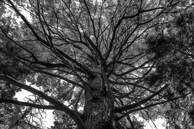 Sky View by James Rodewald metal wall art