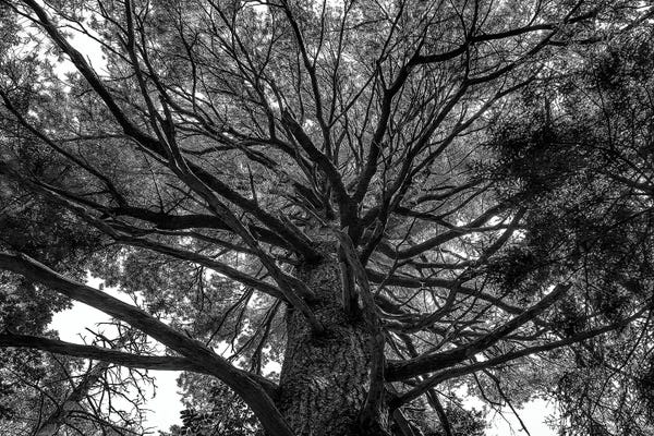 James Rodewald: Sky View by James Rodewald