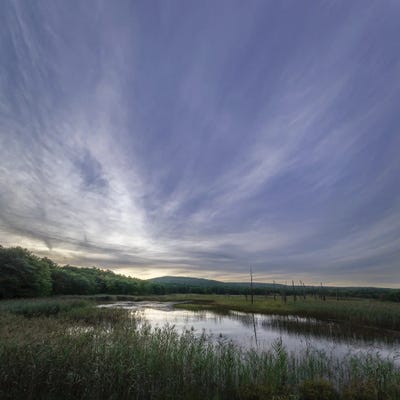 The View by James Rodewald metal wall art