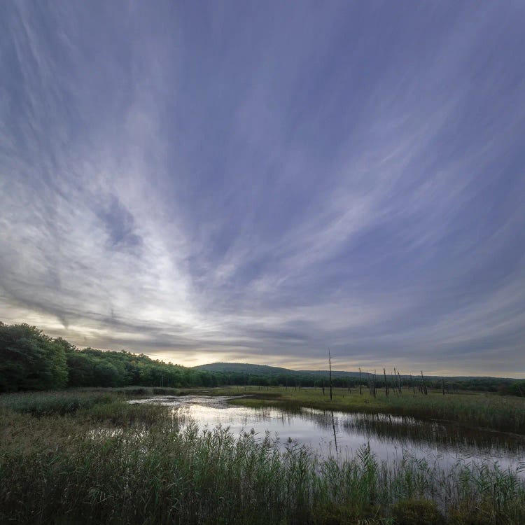 The View by James Rodewald wall art