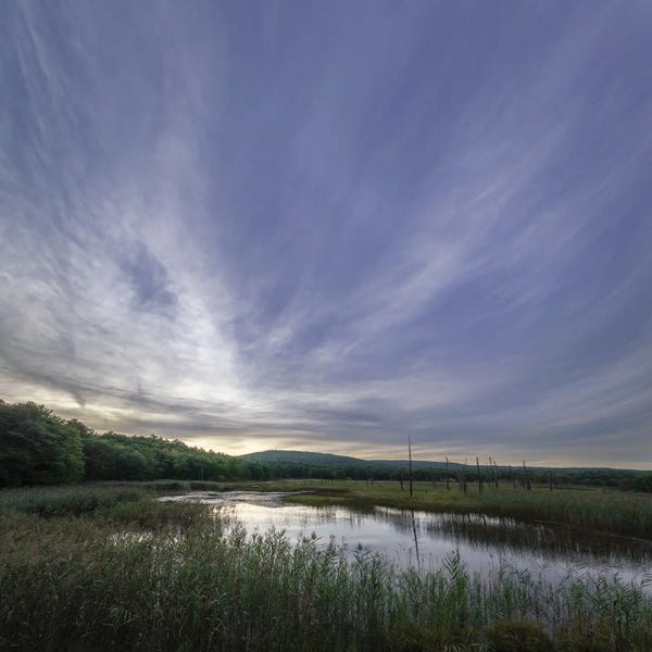 James Rodewald: The View by James Rodewald