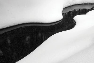 Yink And Yang by James Rodewald metal wall art