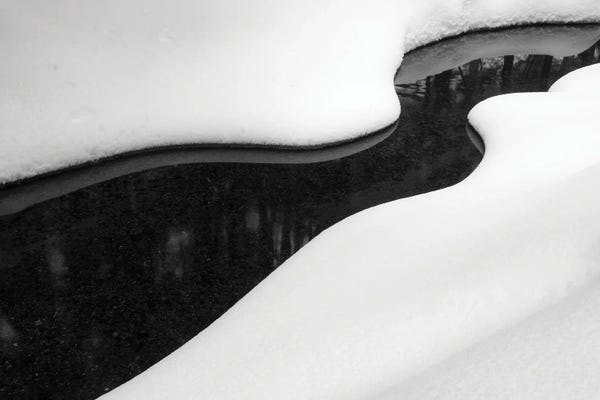 James Rodewald: Yink And Yang by James Rodewald