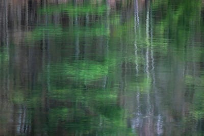 Blurred Vision I by James Rodewald metal wall art