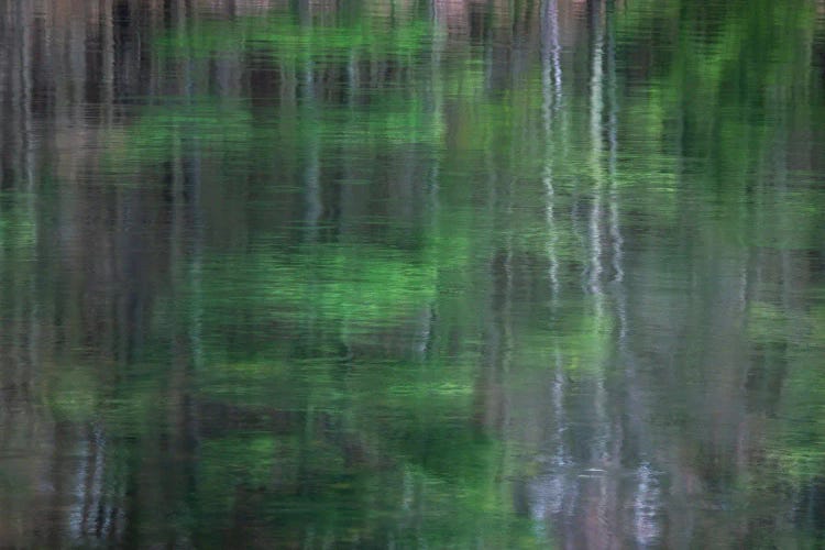 Blurred Vision I