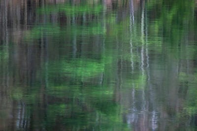 Blurred Vision II by James Rodewald metal wall art