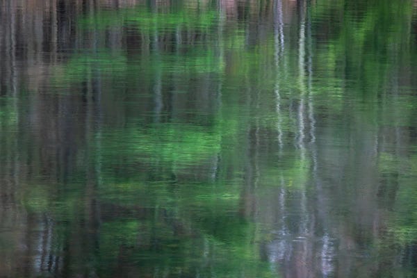 James Rodewald: Blurred Vision II by James Rodewald