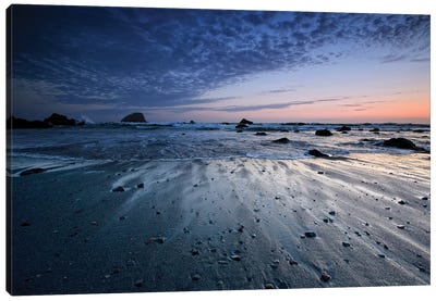Tide Rushes Out Canvas Art Print