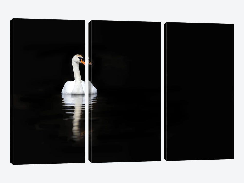 White Swan Reflected In Calm Water by Jane Rix 3-piece Canvas Wall Art